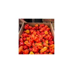 Fresh Red Habanero