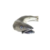 Hake Fish (Whiting Fish/Fresh Stockfish)