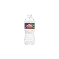 Ozarka Water 16.9fl oz
